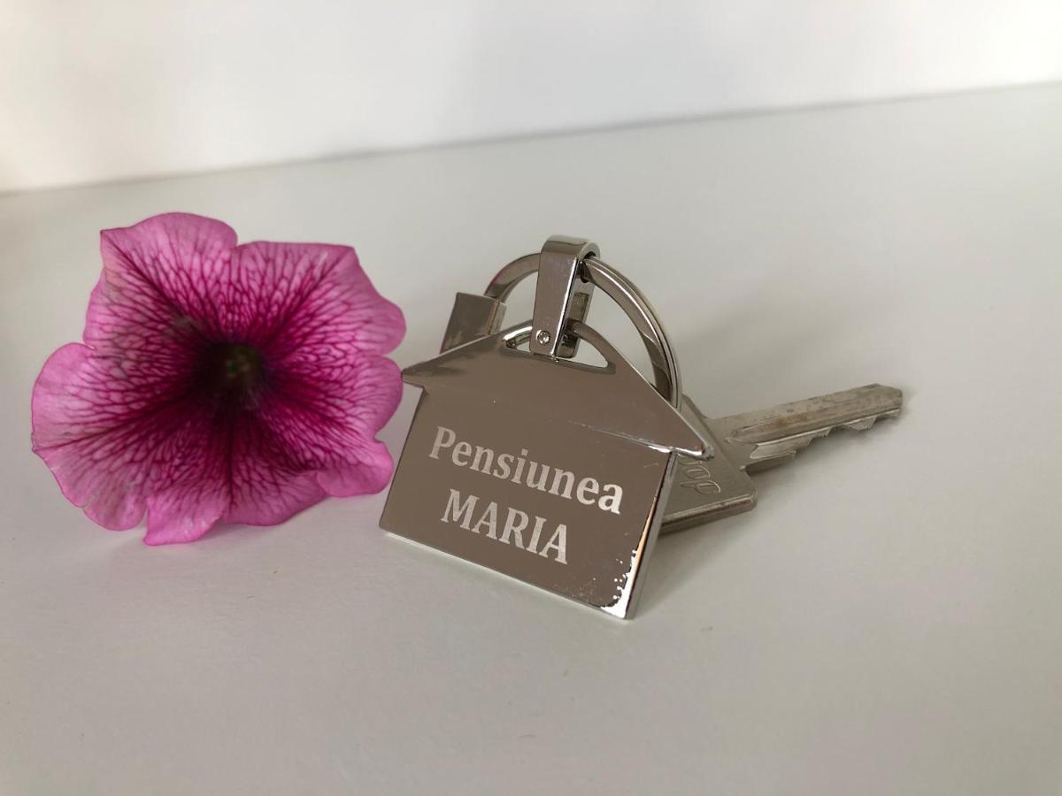 Pensiunea Maria Colibiţa Exteriér fotografie